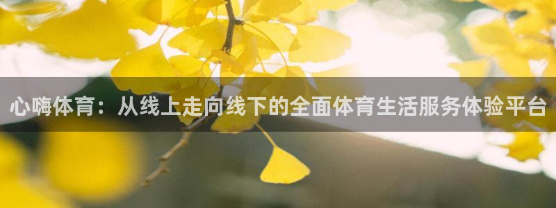 nba直播吧 极速体育