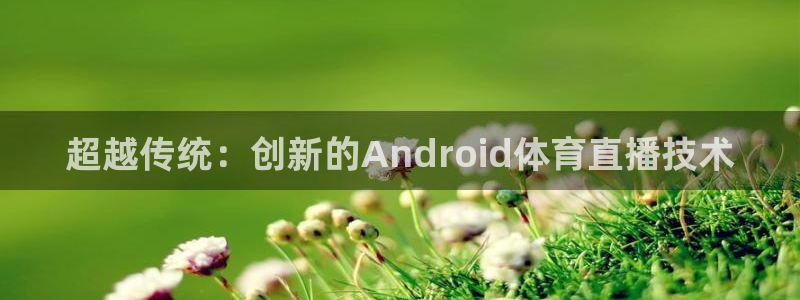 网球直播极速体育：超越传统：创新的Android体育直播技术
