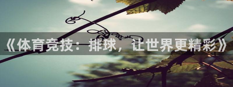 极速直播吧nba直播：《体育竞技：排球，让世界更精彩》