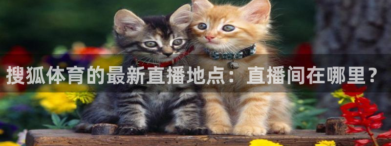 极速体育直播cba篮球联赛：搜狐体育的最新直播地点：直播间在哪里？