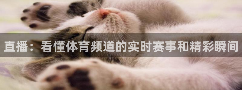 极速体育nba直播在线观看：直播：看懂体育频道的实时赛事和精彩瞬间