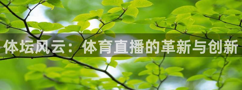 极速体育直播间：体坛风云：体育直播的革新与创新