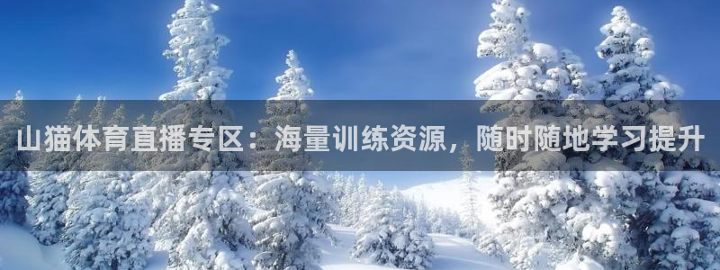 足球直播在线观看免费极速体育：山猫体育直播专区：海量训练资源，随时随地学习提升