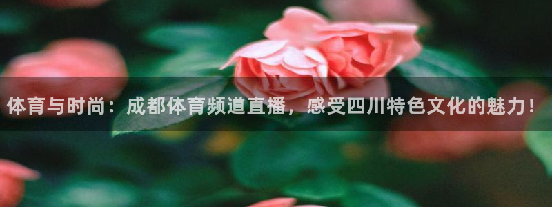 极速体育nba在线：体育与时尚：成都体育频道直播，感受四川特色文化的魅力！