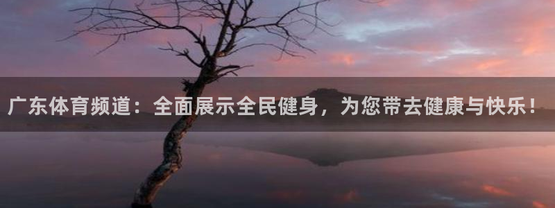 nba直播吧极速雨燕：广东体育频道：全面展示全民健身，为您带去健康与快乐！