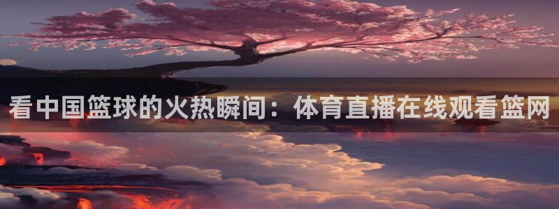 极速飞速体育直播吧体育直播：看中国篮球的火热瞬间：体育直播在线观看篮网