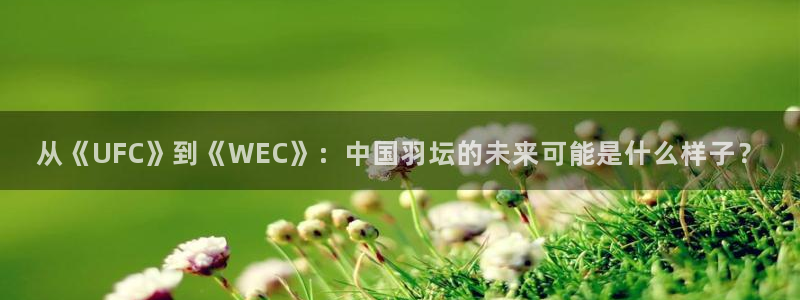 极速体育直播吧nba：从《UFC》到《WEC》：中国羽坛的未来可能是什么样子？